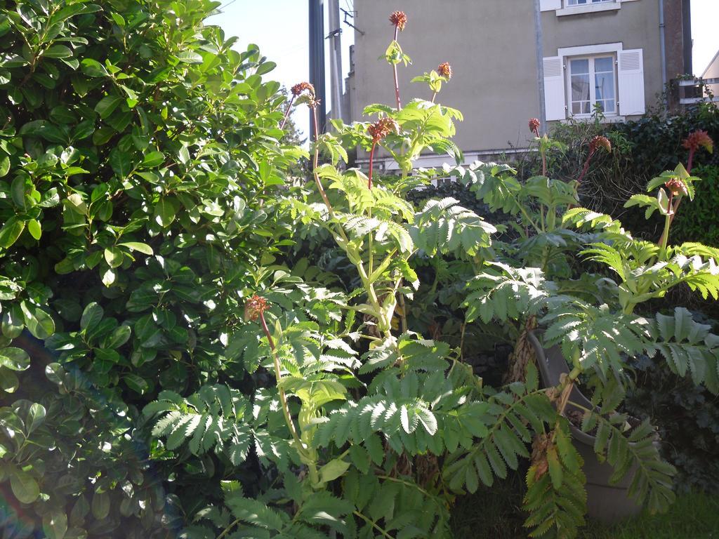 Appartement La Loob Gites De Daumesnil Etage Морле Стая снимка